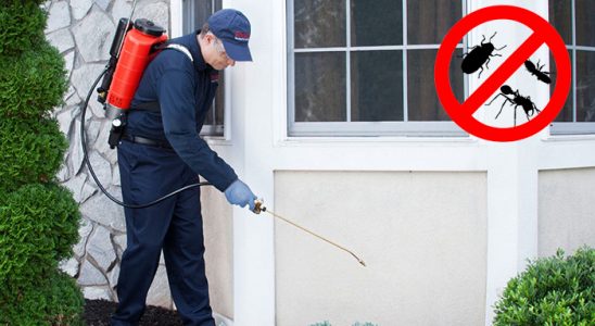 Gaziosmanpaşa Kene İlaçlama böcek ilaçlama ve haşere kontrolü — ilaclama-tr.com